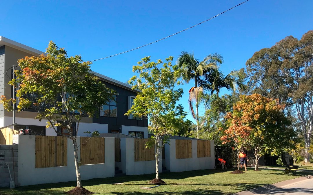 Arafura Ave Loganholme